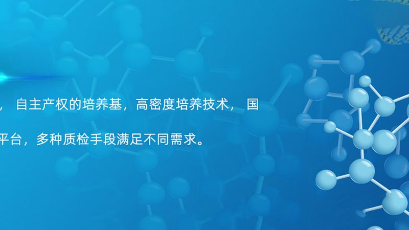 酶试剂品牌对比