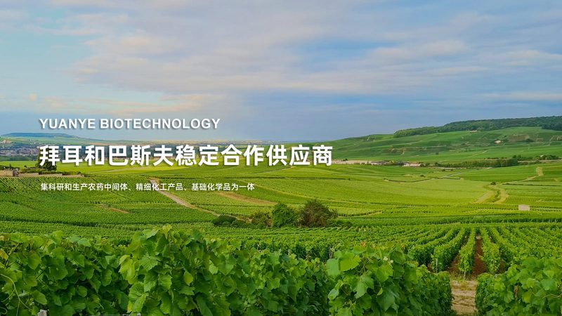 上海生物科技公司技术服务外包：揭秘行业选择之道**