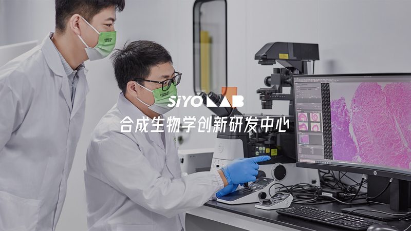 揭秘上海生物医药研发外包公司：研发之路上的得力伙伴