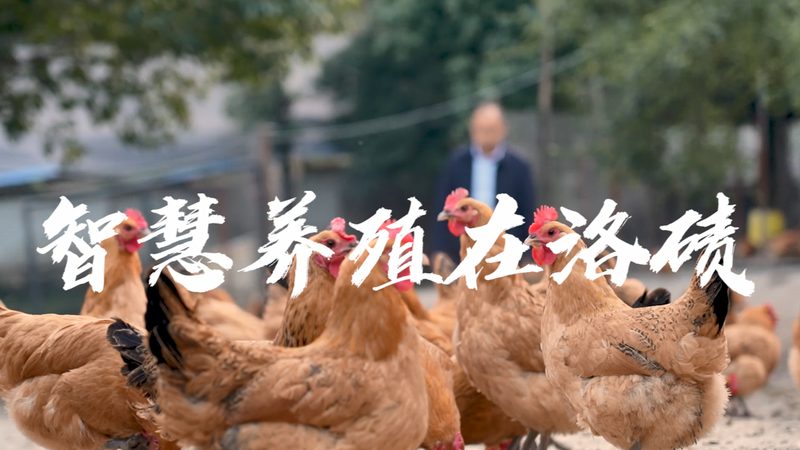 临床检验生物试剂：品牌排名背后的考量因素