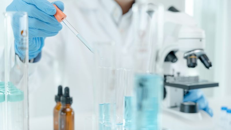 DNA聚合酶型号解析：揭秘基因编辑的“精准利器