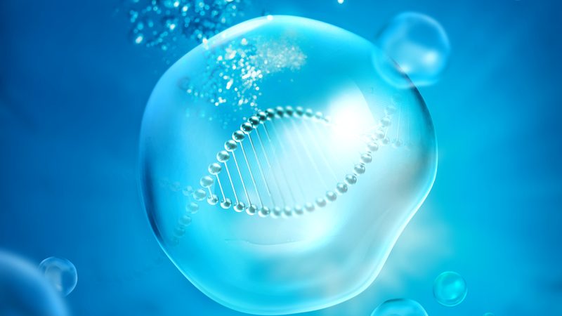 细胞培养耗材，如何正确使用？揭秘使用步骤与关键要点**