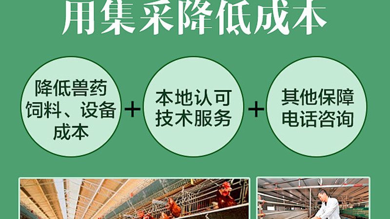 引物合成：确保PCR实验精准的基石