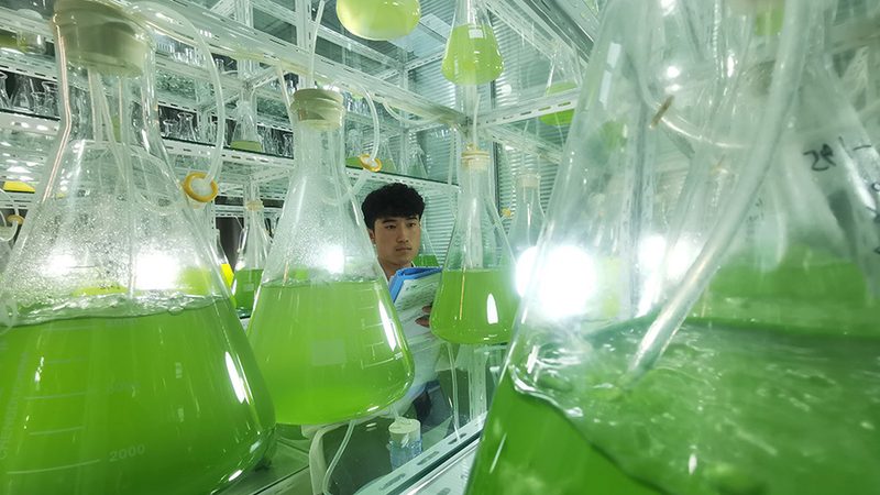 细胞工厂代理，如何挑选靠谱伙伴？**